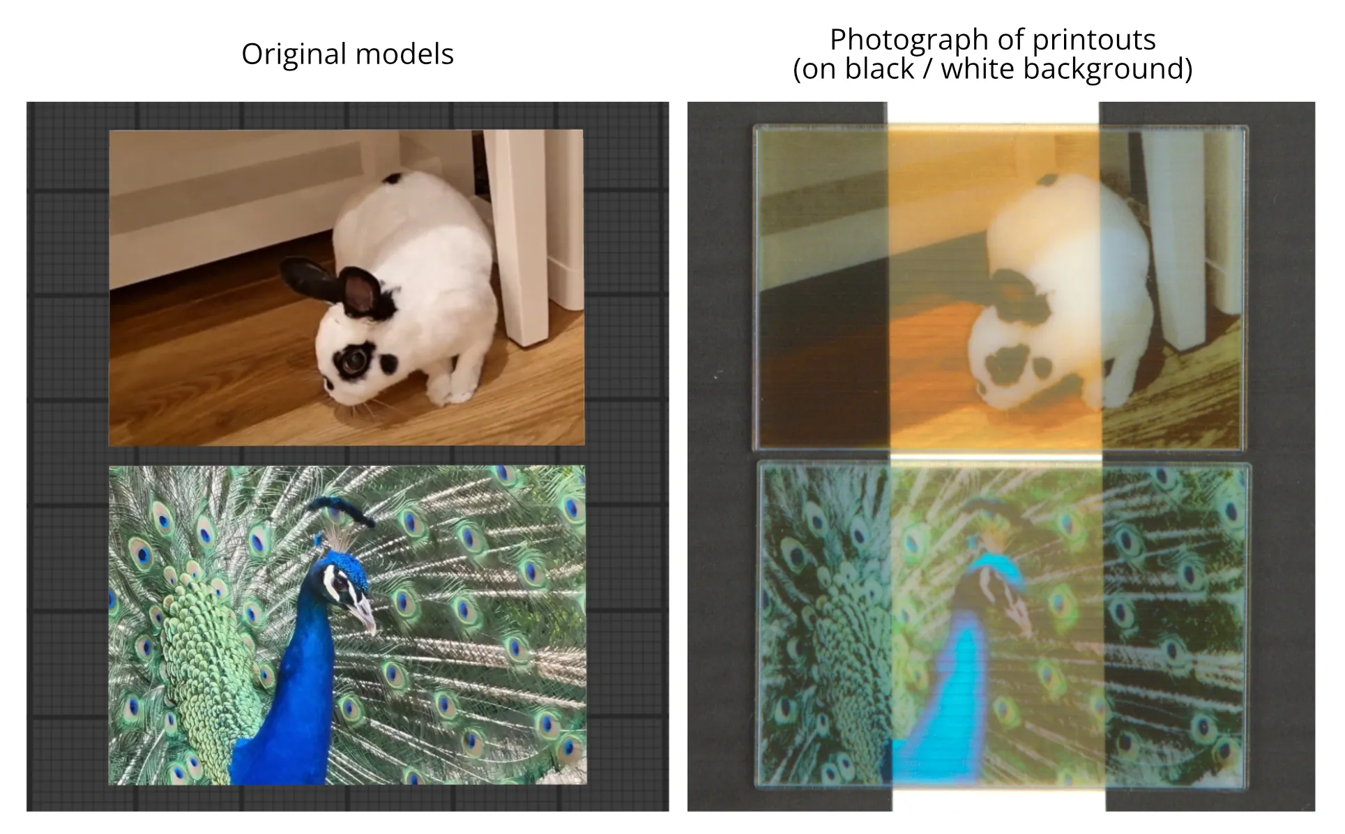 A comparison between target textures (a bunny and a peacock) and photos of thin printouts against a black and white background demonstrating the translucency.